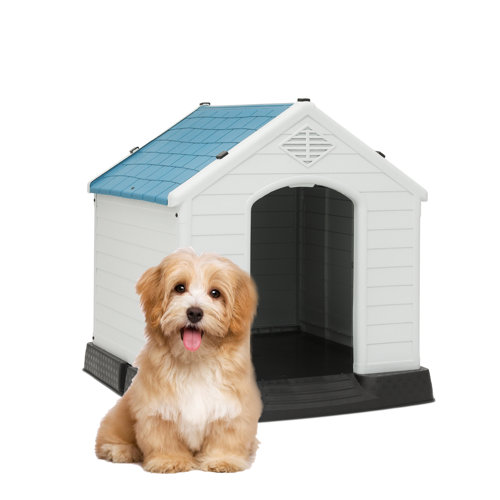 Small Dog Houses Wayfair